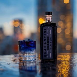 Black Gin Christmas Geschenkset (inkl. Christmas Rezeptbuch) + Gratis Gin-Tasting-Set