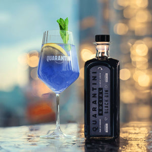 Black Gin Christmas Geschenkset (inkl. Christmas Rezeptbuch) + Gratis Gin-Tasting-Set