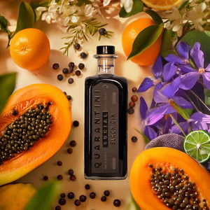 Quarantini Black Gin Geschenkset