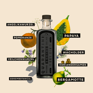 Quarantini Gin Tasting Set (mit 4 Minis) - Geburtstagsaktion