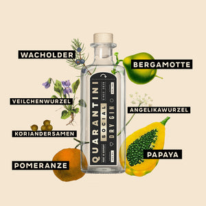 Quarantini Dry Gin: Magnum Edition