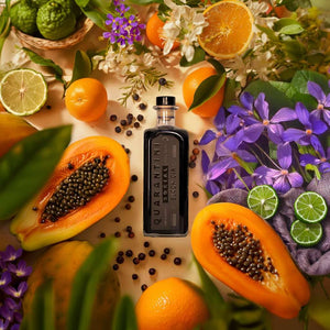 1x Black Gin + 2x Gemellii Mischgetränke