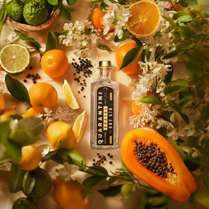 1x Dry Gin + 2x Gemellii Mischgetränke