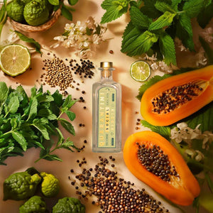 Gläser Set: Quarantini Virgin