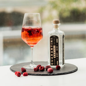 5+1 Quarantini Gin Package