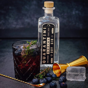 Quarantini Dry Gin