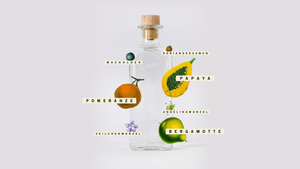 Quarantini Social Dry Gin Botanicals und Geschmack