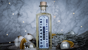 ❄️ Winter Gin Rezepte ❄️